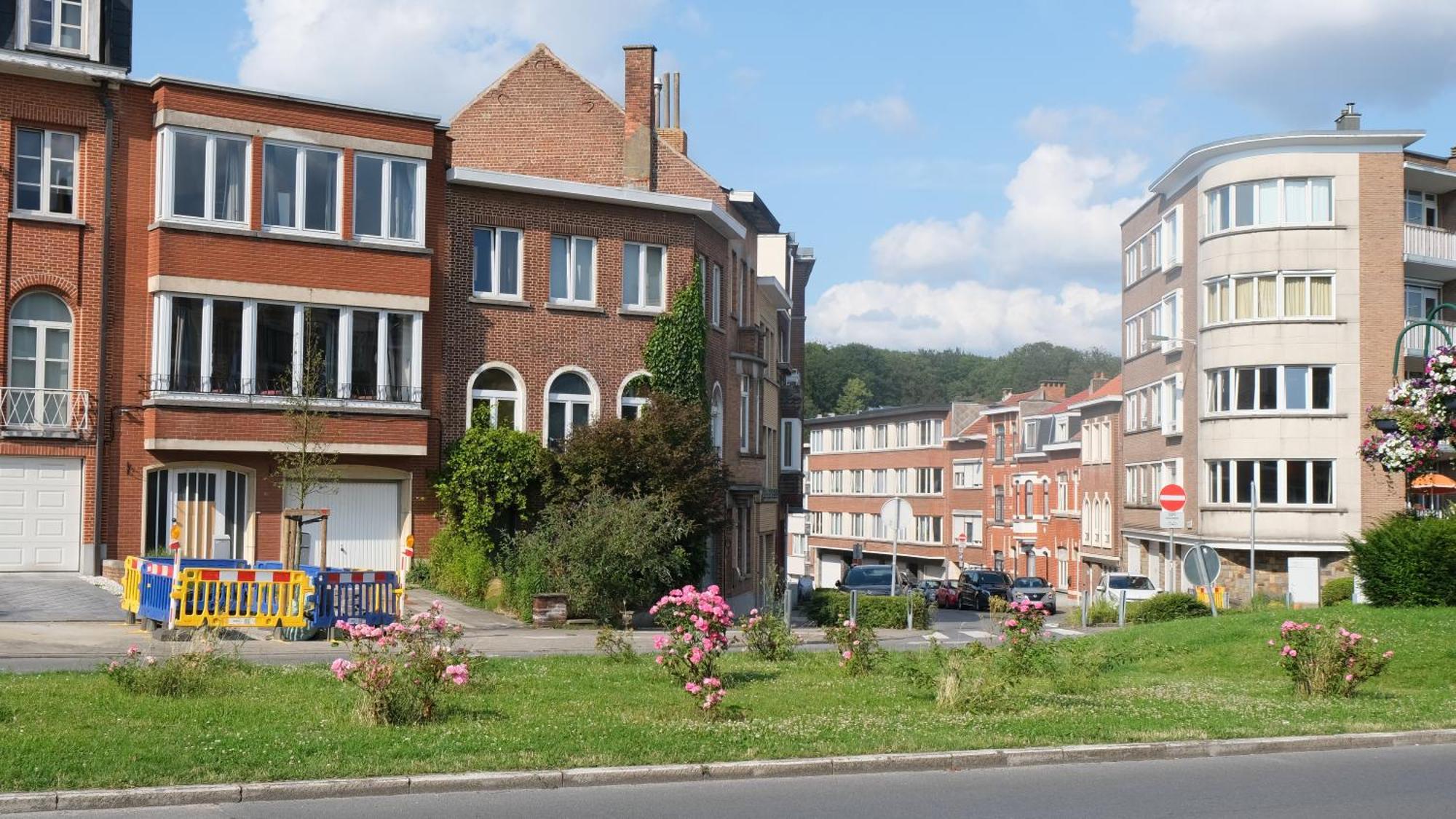 Maison Familiale Brussels Luaran gambar